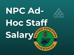 npc adhoc staff salary