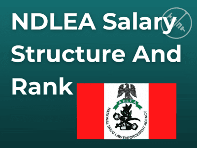 NDLEA Salary Structure And Rank