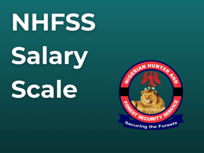 NHFSS Salary Scale